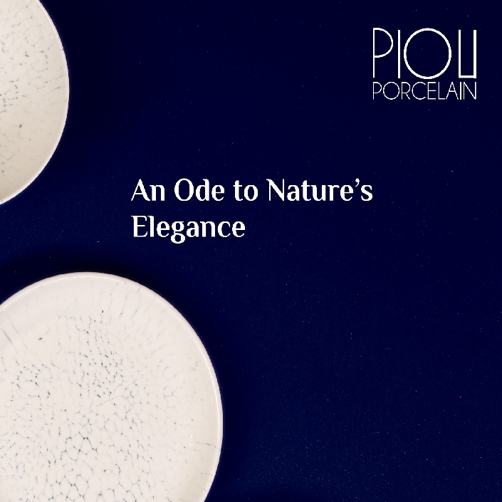 CATALOGO PIOLI STONWARE SUNUM