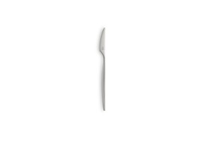 ATLANTIDA CAKE KNIFE SHOTBLASTED