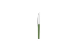COUTEAU STEAK WILLOW-GREEN / K8