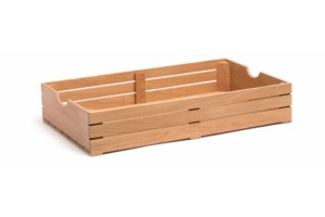 CAJA GN 1/1 HAYA 54,5x34x10,1cm