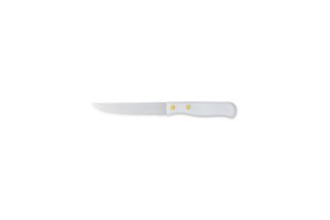 BLISTER COLTELLO BISTECCA MANICO PLASTICA 0.9MM SOTTILE LAME