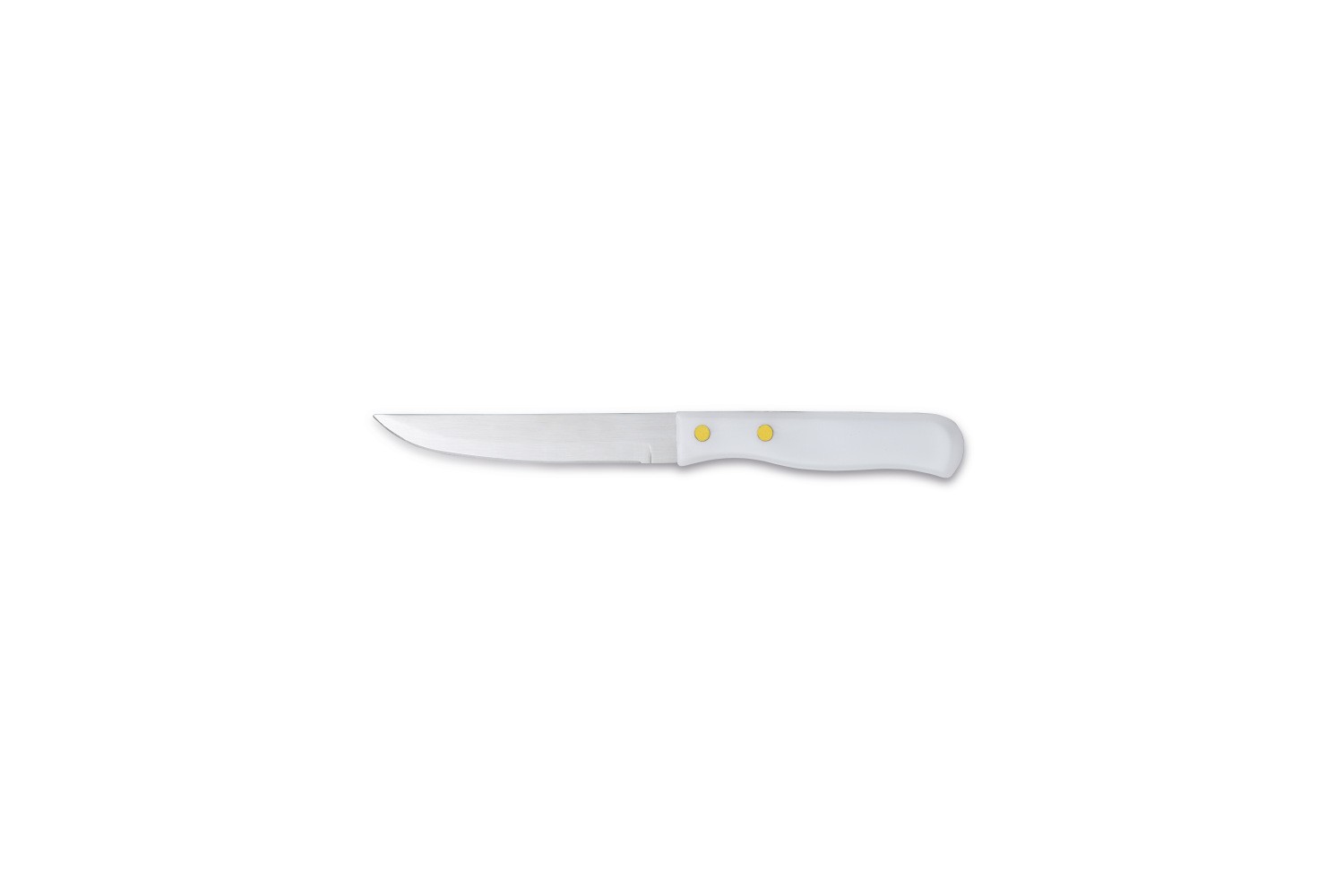 BLISTER COLTELLO BISTECCA MANICO PLASTICA 0.9MM FILO