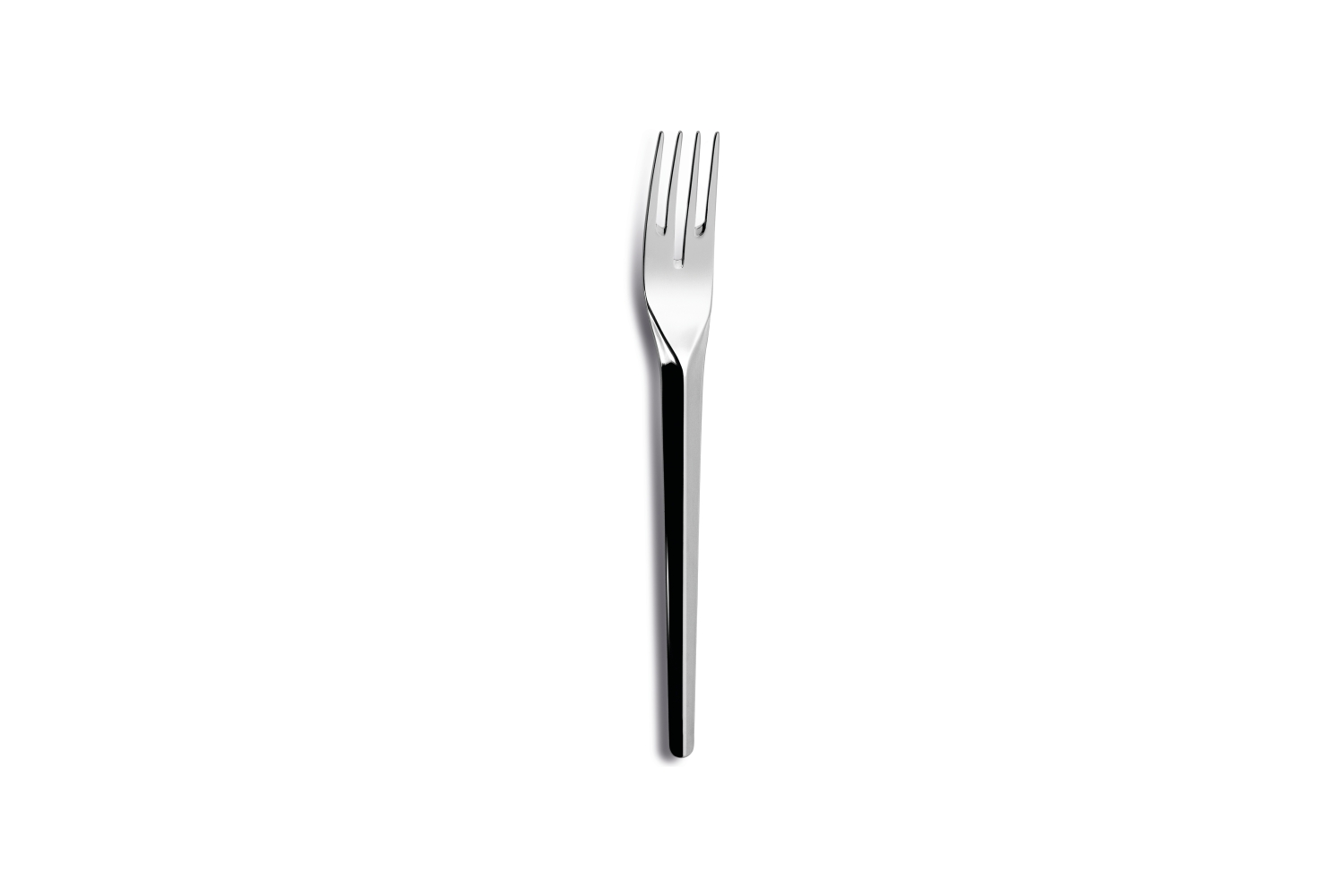 FOURCHETTE POISSON ASTER 18/10