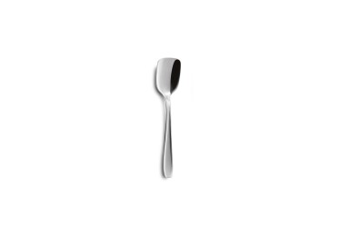 HOTEL EXTRA ICE CREAM SPOON 18%