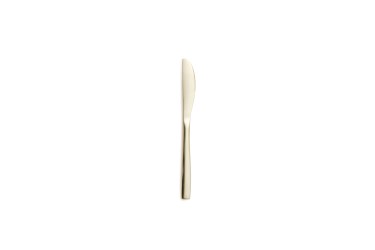 BCN CHAMPAGNE DESSERT KNIFE